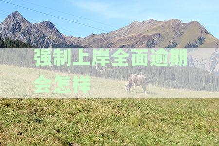 强制上岸后债务处理全解析：哪些债务必须还，哪些可以不还？