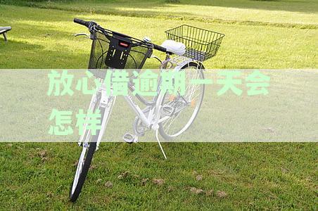全面指南：放心借逾期一日处理方法与后续应对策略