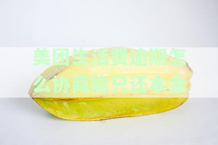 美团生活费逾期还款攻略：如何协商仅偿还本金及解决相关问题