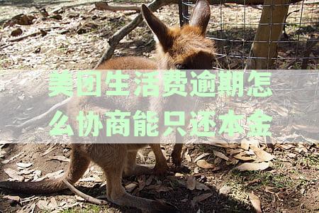 美团生活费逾期了怎么减违约金：协商还款、处理逾期及罚息计算与宽限期说明