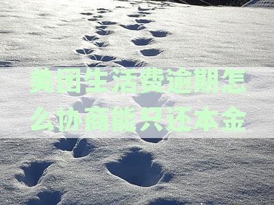 美团生活费逾期怎么协商能只还本金