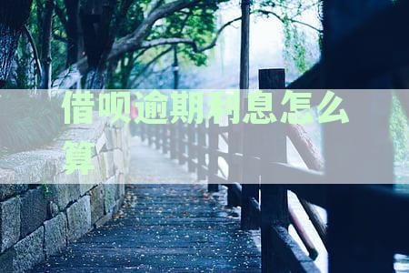 借呗逾期罚息过高应对策略：如何合理维权与降低罚息负担