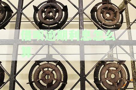 借呗逾期利息一万一天多少钱：逾期利息具体计算方法解析