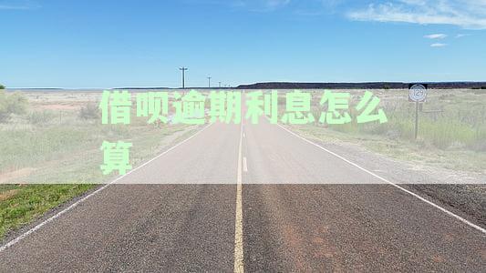 信用卡逾期还款利息及违约金如何精确计算方法