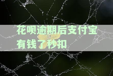支付宝余额有钱时逾期自动扣款怎么办？教你解决逾期后余额被自动扣款的问题