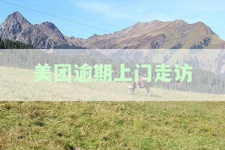 美团逾期一万说要上门走访还要被拘留是真的吗-美团逾期8000上门来了一次下次还会来吗