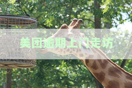 美团逾期上门走访