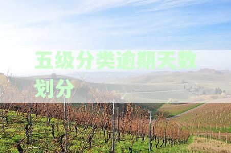 五级分类逾期天数划分