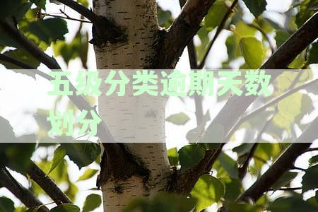 五级分类逾期天数划分