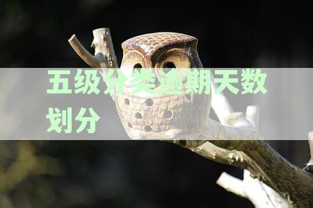 五级分类逾期天数划分