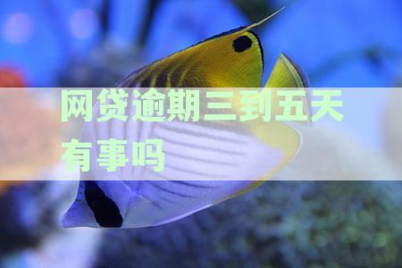 网贷逾期三到五天有事吗
