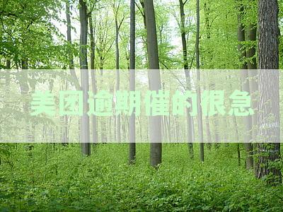 美团借钱逾期贴吧：解决生活费问题，共享生活经验