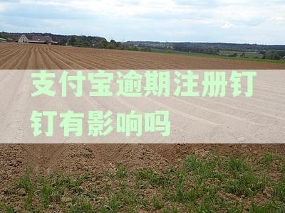 支付宝逾期后注册钉钉是否受影响？支付问题怎么解决？