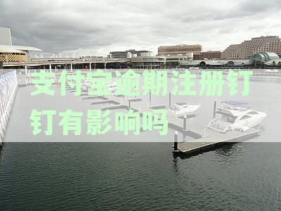 支付宝逾期影响钉钉使用：详解解决方案及可能遇到的问题