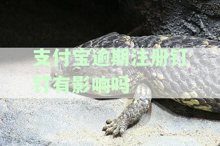 支付宝逾期注册钉钉有影响吗