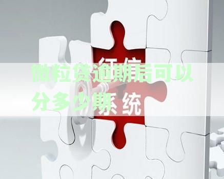 微粒贷逾期后可以分多少期