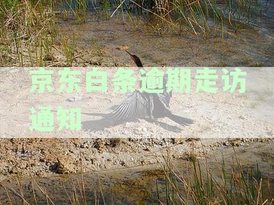 逾期如何处理：外访催收上门走访短信通知撰写指南