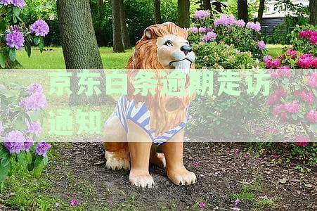 逾期处理指南：短信通知解读与应对策略全面解析