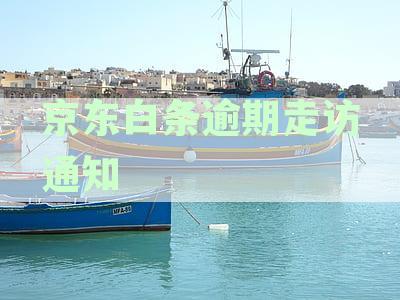 逾期后走访户地流程详解：走访目的、方式及应对策略一览