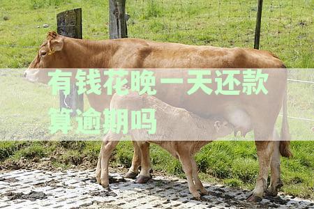 有钱逾期还款一天会有什么后果？探究逾期一天对征信的影响与还款后果