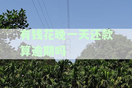 有钱花晚一天还款算逾期吗