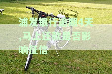 浦发信用卡逾期4天后马上还款，会上征信报告吗？最新信用资讯解读逾期影响