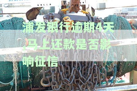 浦发银行逾期4天还款后，征信记录是否会受影响及如何避免类似问题