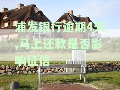 浦发银行逾期4天,马上还款是否影响征信