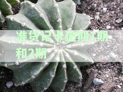 逾期贷记卡与信用卡解读：人民银行如何处理1期和2期逾期信用问题