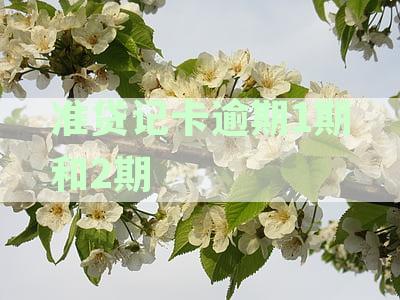 详析准贷记卡逾期1期与2期的不同影响及应对策略