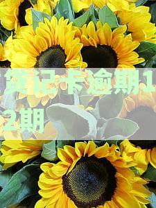 准贷记卡逾期多长时间会被拉入黑名单及其影响