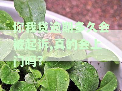 你我逾期未还款多久将面临起诉风险，催收真的会采取上门措吗？