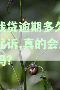 你我贷逾期多久上征信后果有多严重，逾期多久会被起诉及影响信用详解