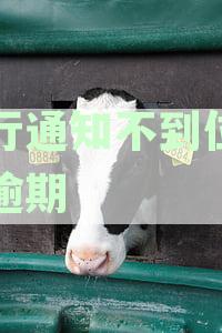 银行通知不到位导致逾期的原因：责任归属及贷款逾期后果分析