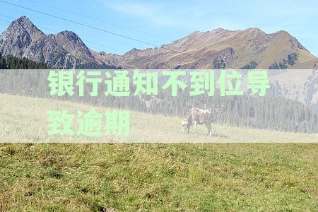 '银行未及时通知还款导致贷款逾期，怎么处理及怎么办？'