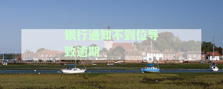 银行未及时提醒导致逾期还款：如何规避风险与应对策略