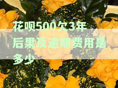 花呗欠款500起，逾期3年1年半年上门走访及起诉风险解析