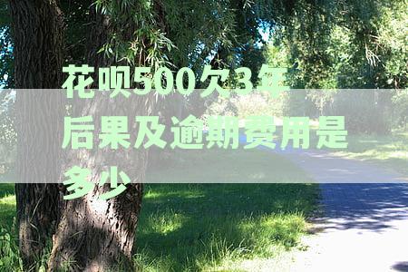 网花逾期不还款，花呗欠500有什么后果，不还会怎么样子？