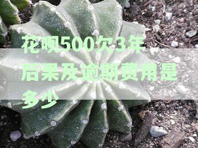 花呗500逾期上征信吗：逾期500元对征信的影响及后果分析
