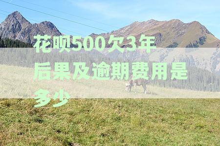 花呗逾期500元欠款处理全攻略：逾期多久会被投诉？如何避免法律风险？