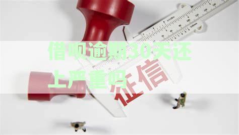 逾期还款后，30天后还款会有什么严重后果？怎么处理逾期天后还款的问题