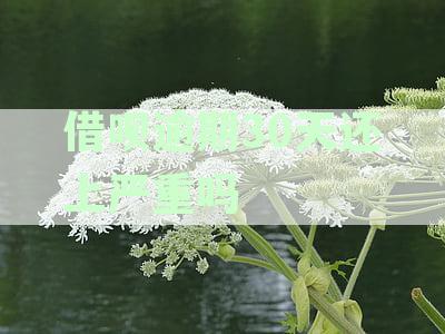 借呗逾期30天有啥影响吗：逾期后果及应对措详解