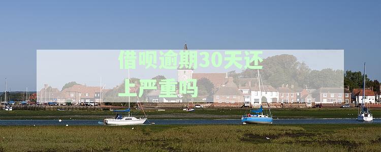 借呗逾期30天还上严重吗