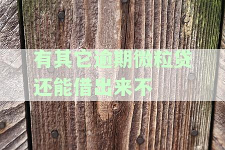 '逾期微粒贷借款后还能再次借出而不还款吗？'