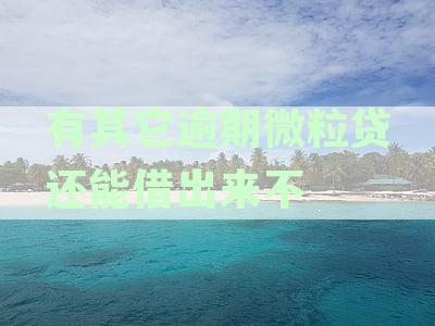 有逾期微粒贷可以借吗：逾期后能再次借款、申请分期及影响征信安全吗？