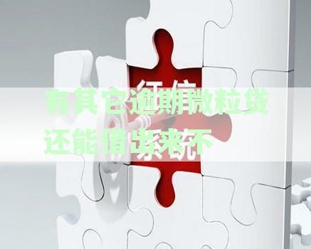 微粒贷账户受其他平台逾期影响吗？逾期状况下微粒贷使用指南与解决方案