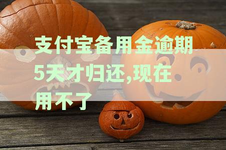 支付宝备用金逾期5天才归还,现在用不了了的原因及解决方法是什么？
