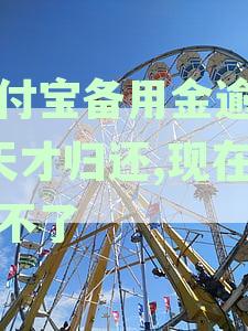 支付宝备用金逾期5天后归还，为何仍无法使用及解决方法全解析