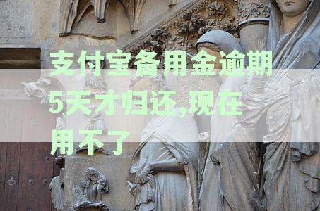 支付宝备用金逾期五天还上之后还能用吗，使用安全及影响探究