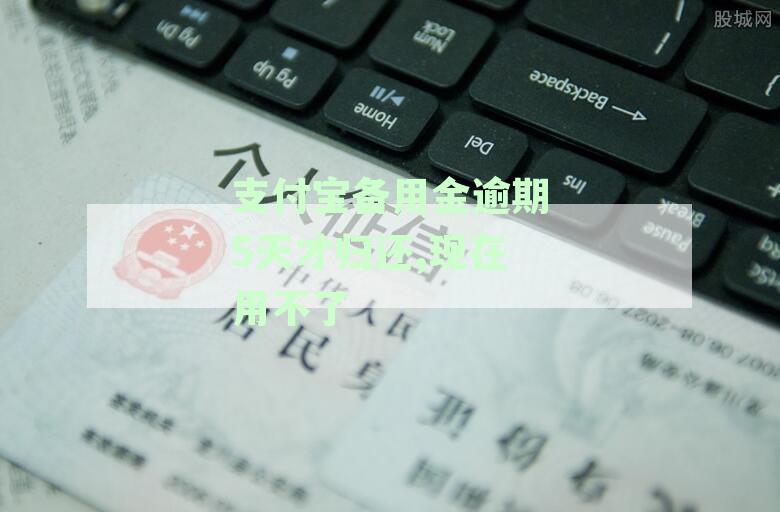 支付宝备用金逾期两天还款后为何仍用不了，多久才能恢复正常使用？
